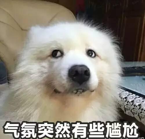 在违法的边缘试探什么梗 在违法的边缘试探是什么意思 在违法的边缘试探表情包原图