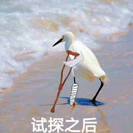 在违法的边缘试探什么梗 在违法的边缘试探是什么意思 在违法的边缘试探表情包原图