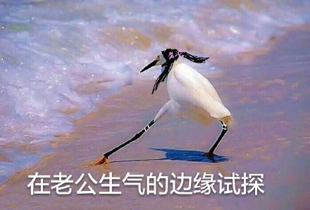 在违法的边缘试探什么梗 在违法的边缘试探是什么意思 在违法的边缘试探表情包原图