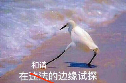在违法的边缘试探什么梗 在违法的边缘试探是什么意思 在违法的边缘试探表情包原图