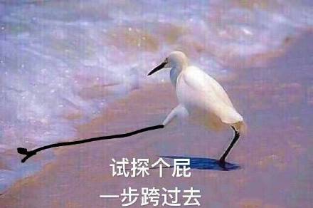 在违法的边缘试探什么梗 在违法的边缘试探是什么意思 在违法的边缘试探表情包原图