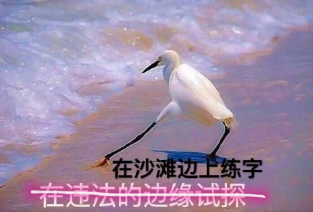在违法的边缘试探什么梗 在违法的边缘试探是什么意思 在违法的边缘试探表情包原图