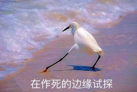 在违法的边缘试探什么梗 在违法的边缘试探是什么意思 在违法的边缘试探表情包原图