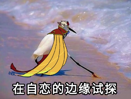 在违法的边缘试探什么梗 在违法的边缘试探是什么意思 在违法的边缘试探表情包原图