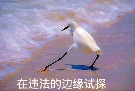 在违法的边缘试探什么梗 在违法的边缘试探是什么意思 在违法的边缘试探表情包原图