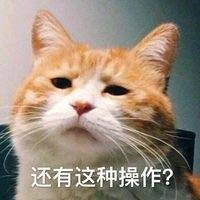女儿是小棉袄,男孩是啥 女儿是小棉袄,男孩为什么是皮夹克