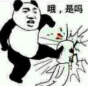 暴躁老哥语录大全 暴躁老哥什么梗 表情包大全