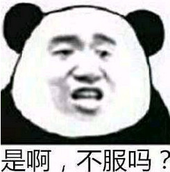 暴躁老哥语录大全 暴躁老哥什么梗 表情包大全