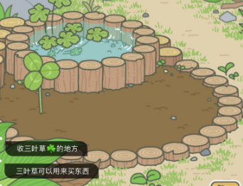 旅行青蛙三叶草多久长出来 旅行青蛙三叶草成熟时间