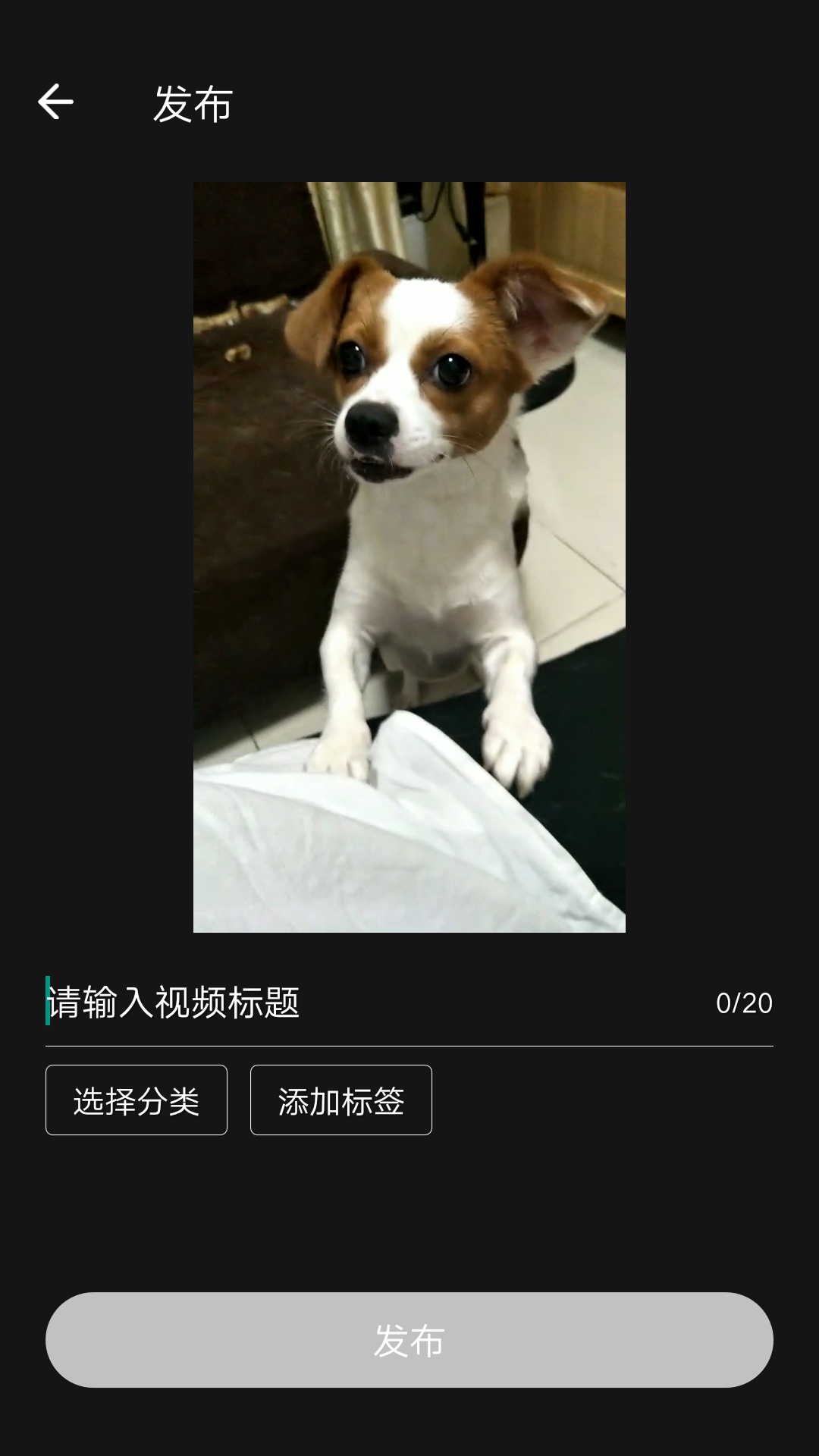 火萤怎么上传视频 完整视频上传教程分享