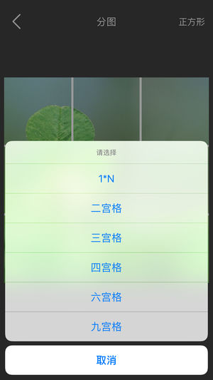 抖音九宫格照片制作软件有哪些 抖音九宫格照片制作软件大全