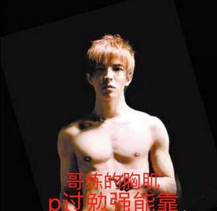 哥练的胸肌是什么梗 哥练的胸肌表情包图片大全