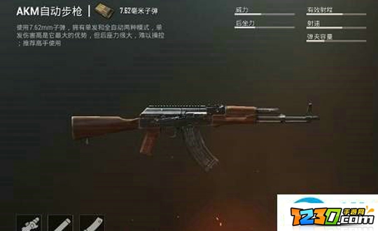 绝地求生刺激战场akm和SLR哪个厉害 akm和SLR性能对比分析
