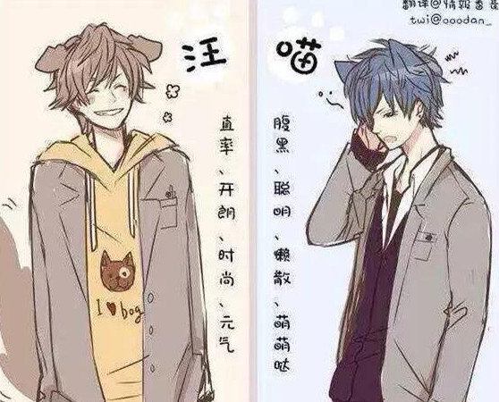 猫系男友是什么意思啊 猫系男友的正确攻略方法