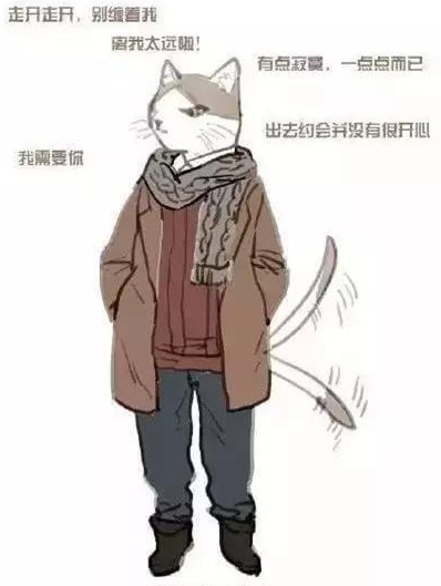 猫系男友是什么意思啊 猫系男友的正确攻略方法