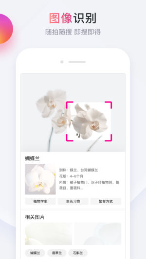 简单搜索有什么特点 简单搜索永无广告是真的吗