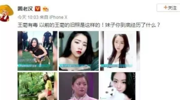 王菊投票是什么 为什么都在给王菊投票