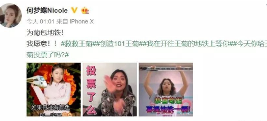 王菊投票是什么 为什么都在给王菊投票