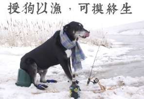 摸鱼表情包谁有 摸鱼表情包大全分享