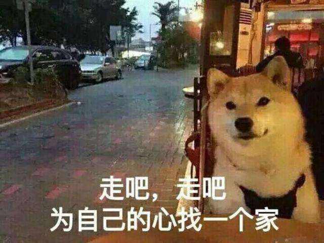 牡丹狗什么意思 是什么梗