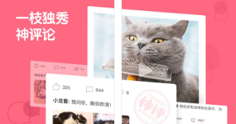 皮皮虾社区是内涵段子吗 皮皮虾app是哪个公司的