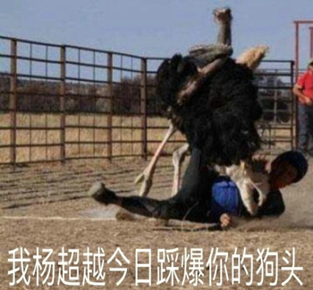 杨超越表情包图片下载 杨超越表情包考试躺赢锦鲤大全