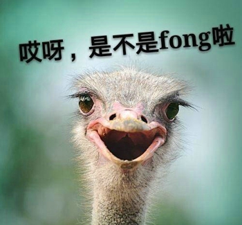 杨超越表情包图片下载 杨超越表情包考试躺赢锦鲤大全