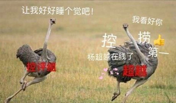 杨超越表情包图片下载 杨超越表情包考试躺赢锦鲤大全