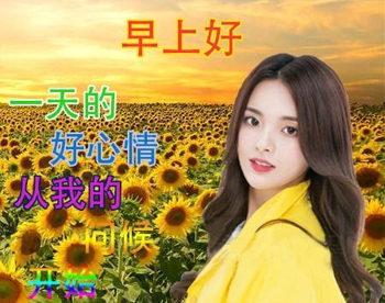 杨超越表情包图片下载 杨超越表情包考试躺赢锦鲤大全