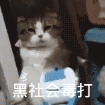 缺少社会的毒打表情包 缺少社会毒打表情图片大全