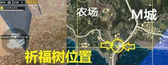 刺激战场祈福树在哪里 最小的树位置坐标一览
