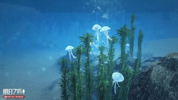 明日之后潜水装备怎么得 潜水装备获得方法