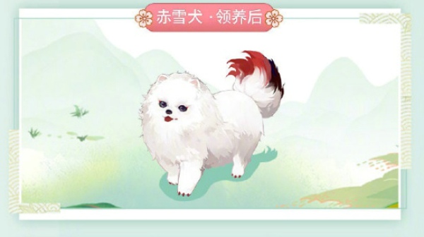 阴阳师赤雪犬怎么得 赤雪犬获得方法