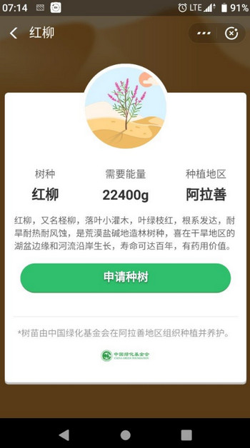 支付宝蚂蚁森林红柳怎么种 蚂蚁森林新树种红柳攻略