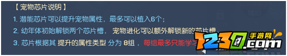龙族幻想宠物玩法攻略 宠物培养技巧