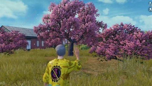 和平精英情人节模式怎么玩 情人节模式玩法介绍