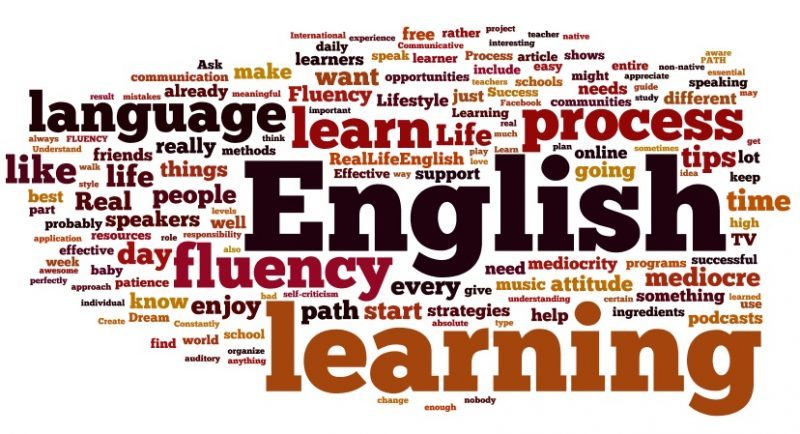 学习英语的软件有哪些 2020英语学习软件排行