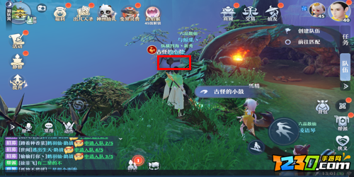梦幻新诛仙狼崽崽的玩具怎么完成 梦幻新诛仙狼崽崽的玩具怎么过